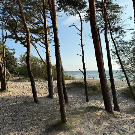 Apartament Birutes Aleja 18 *